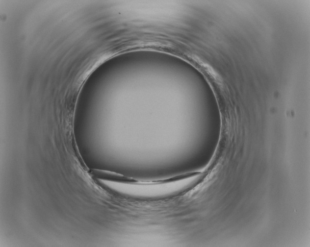 X0000088211369200706051246