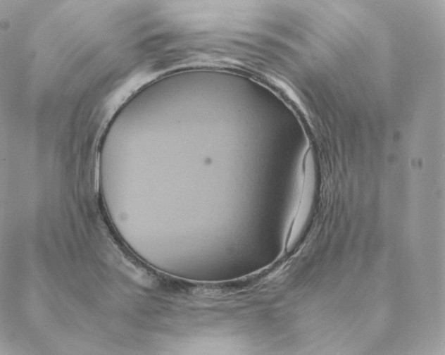 X0000088211371200706051246