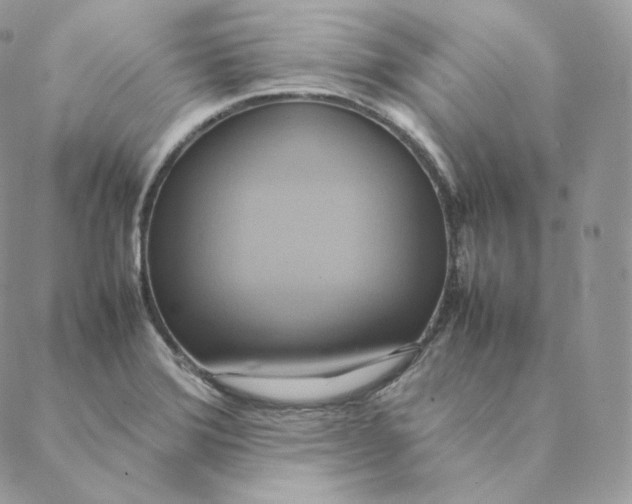 X0000088211372200706051246