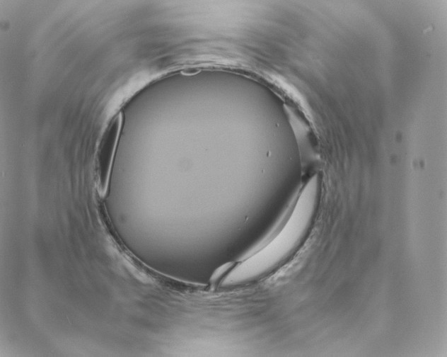 X0000088211373200706051246