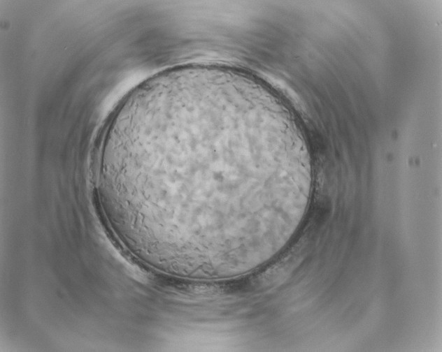 X0000088211375200706051246