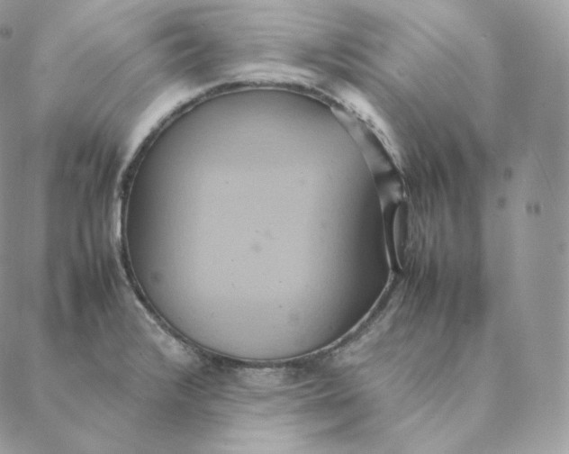 X0000088211376200706051246