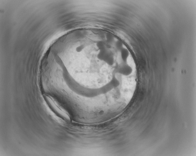 X0000088211379200706051246