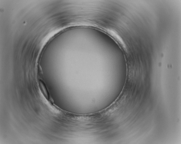 X0000088211380200706051246