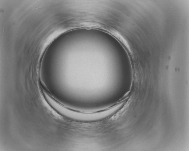 X0000088211381200706051246