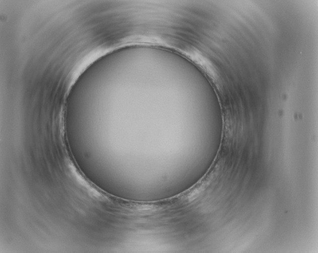 X0000088211382200706051246