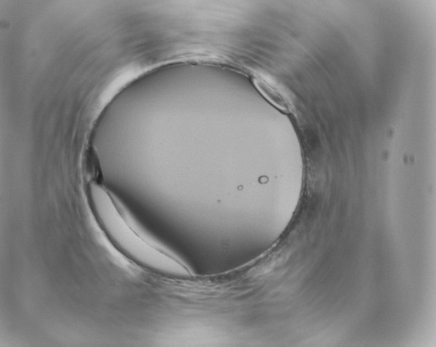 X0000088211383200706051246