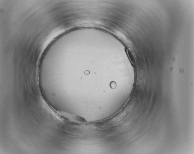 X0000088211384200706051246