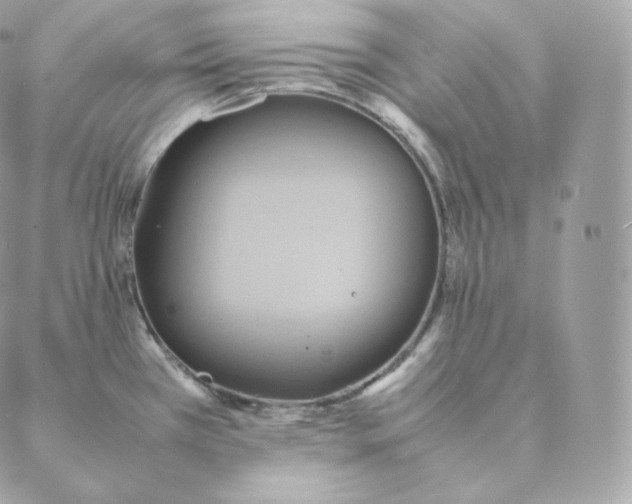 X0000088211385200706051246