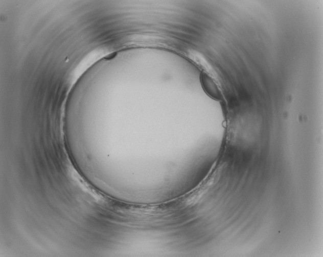 X0000088211386200706051246