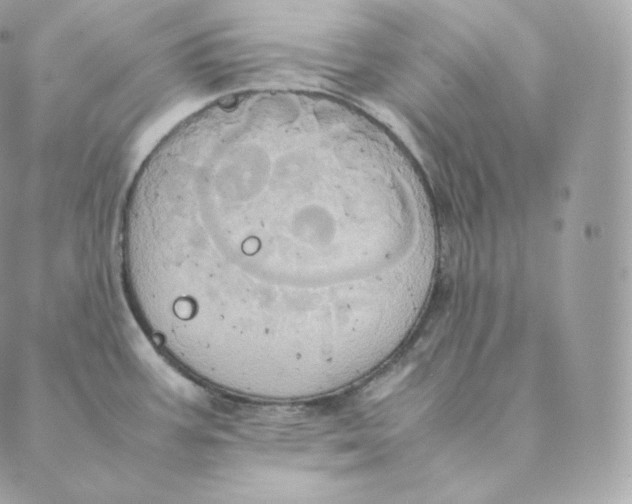 X0000088211387200706051246