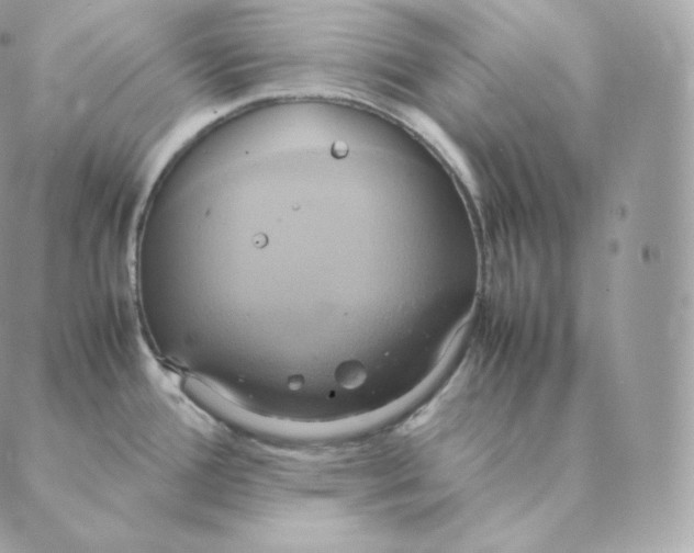 X0000088211388200706051246