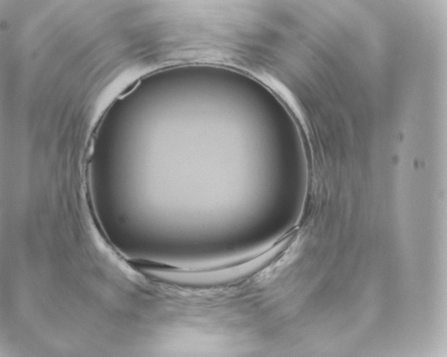 X0000088211389200706051246