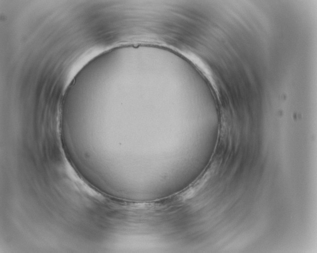 X0000088211390200706051246