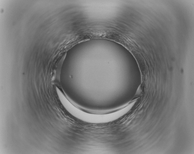 X0000088211394200706051245