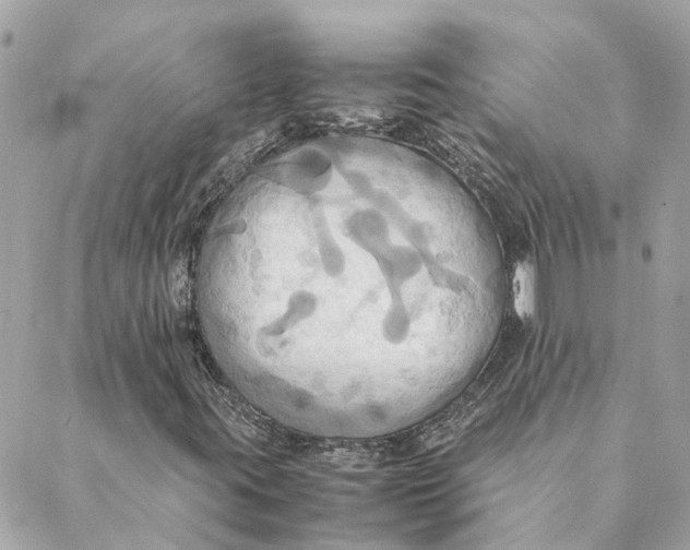 X0000088211395200706051245