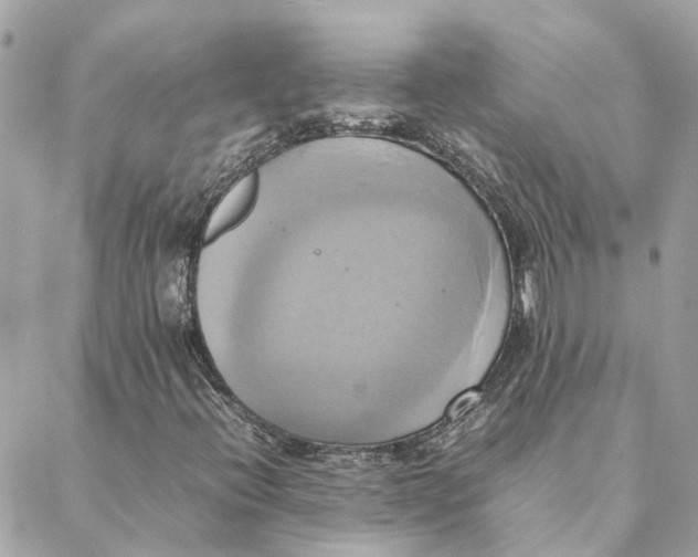 X0000088211396200706051245