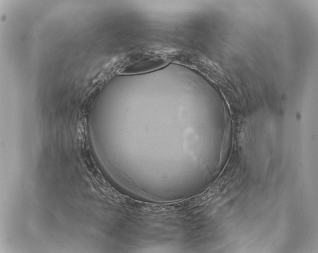 X0000088211397200706051245