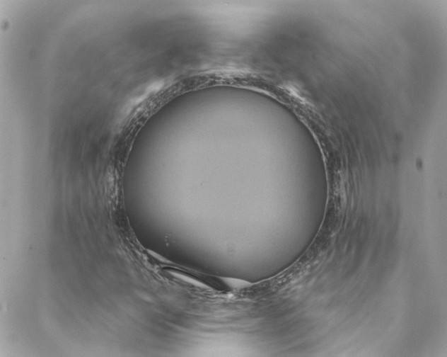 X0000088211398200706051245