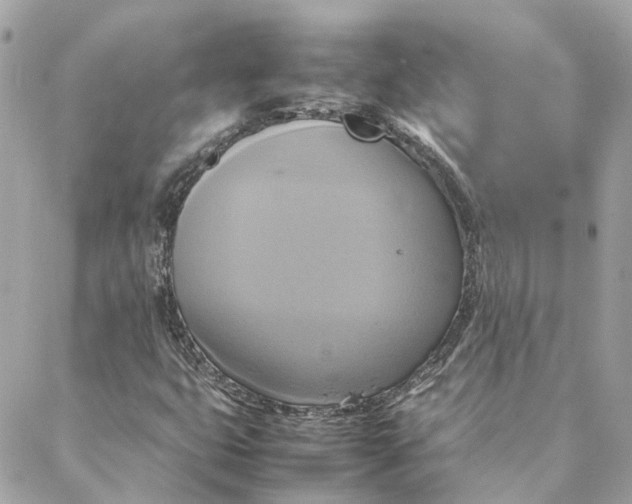 X0000088211399200706051245