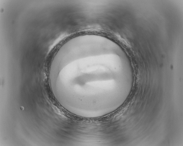 X0000088211400200706051245