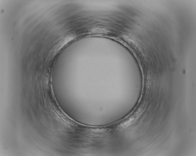 X0000088211401200706051245