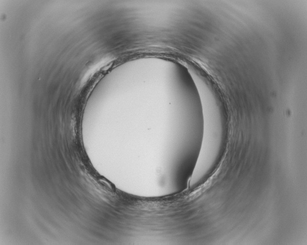 X0000088211402200706051245