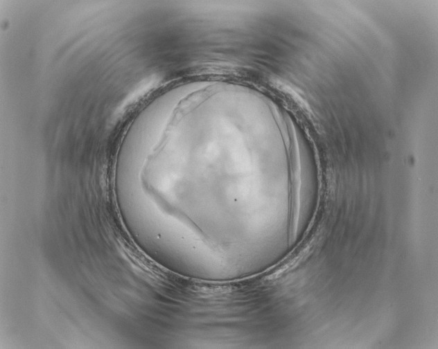 X0000088211403200706051245