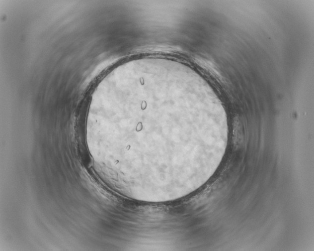 X0000088211404200706051245