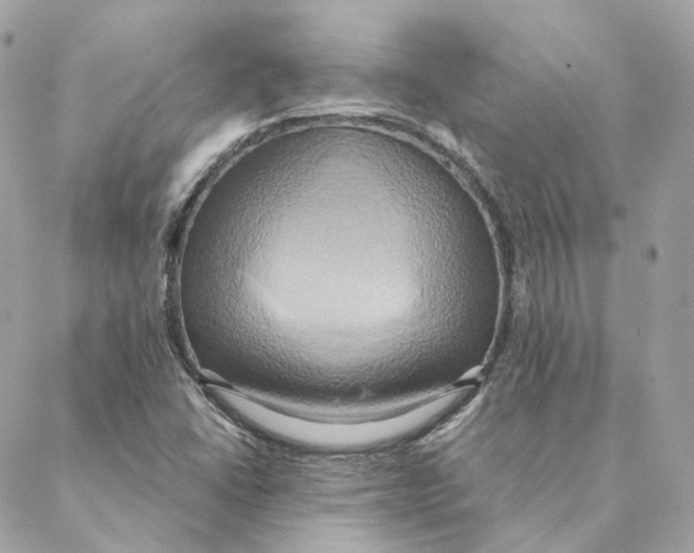 X0000088211406200706051245