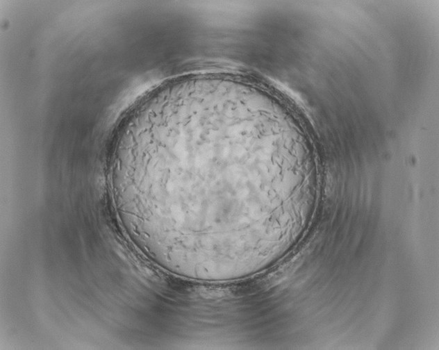 X0000088211407200706051245