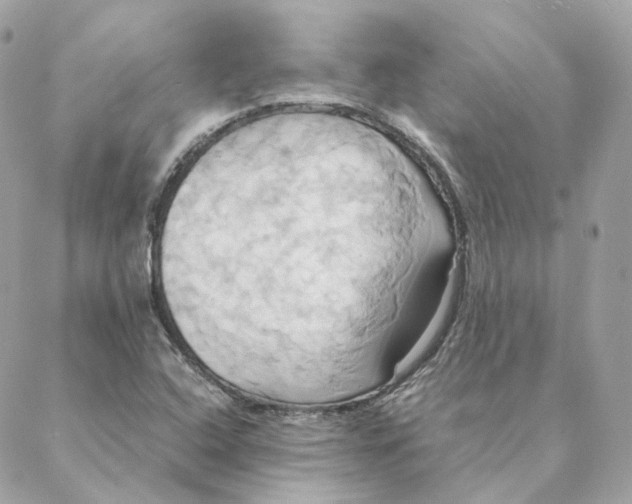 X0000088211408200706051245