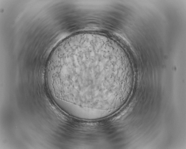 X0000088211409200706051245