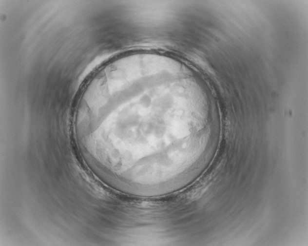 X0000088211412200706051245