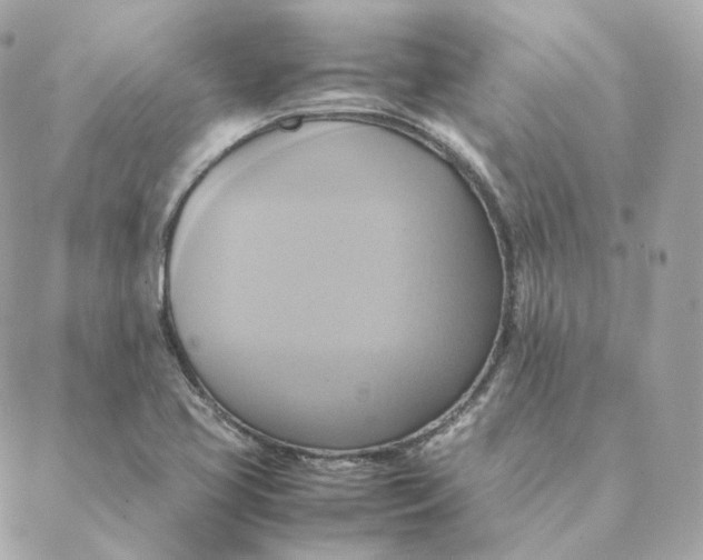 X0000088211413200706051245