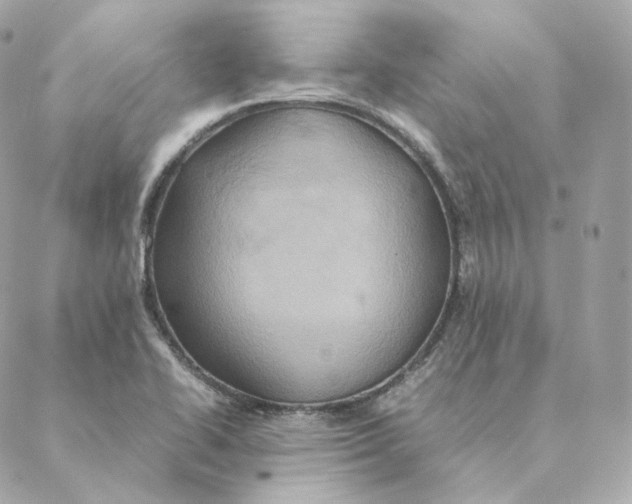 X0000088211414200706051245