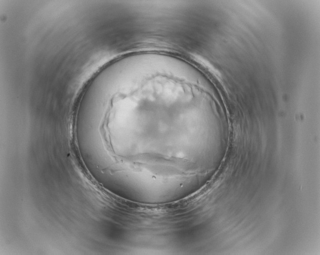 X0000088211415200706051245