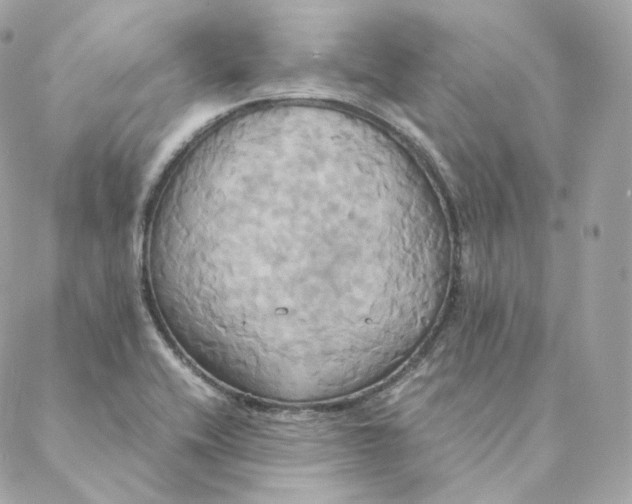 X0000088211416200706051245