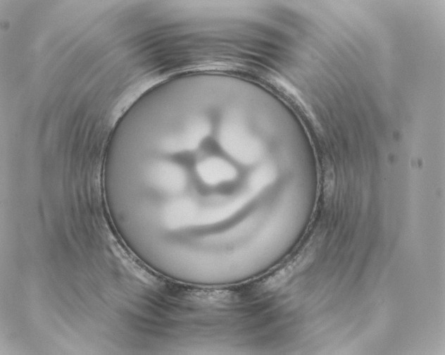 X0000088211417200706051245