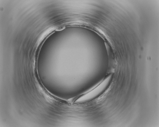 X0000088211418200706051245