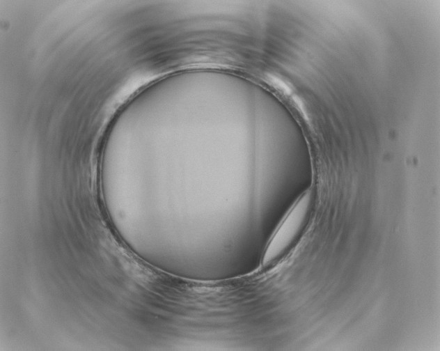 X0000088211419200706051245