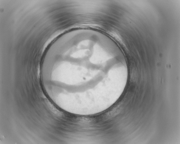 X0000088211420200706051245