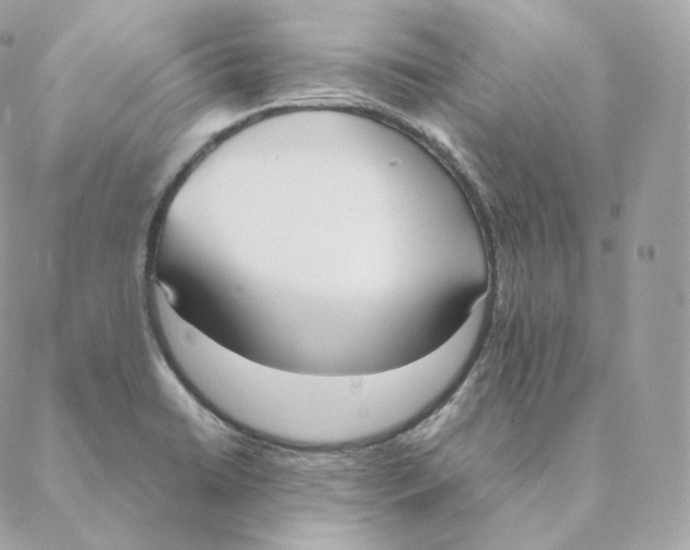 X0000088211422200706051245