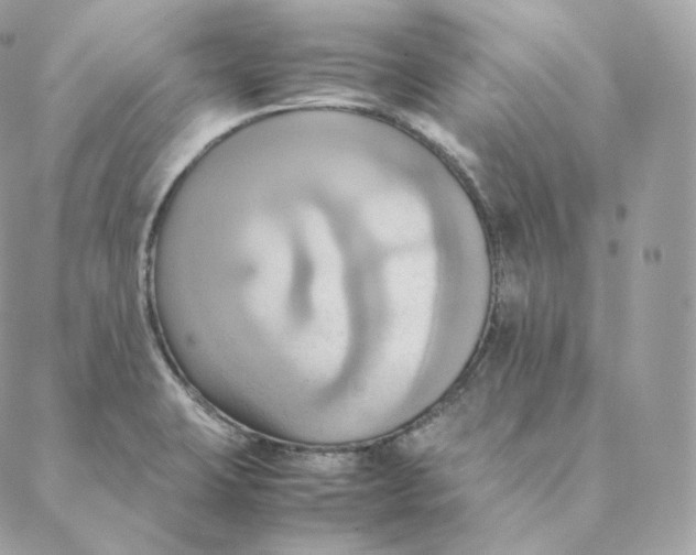 X0000088211423200706051245