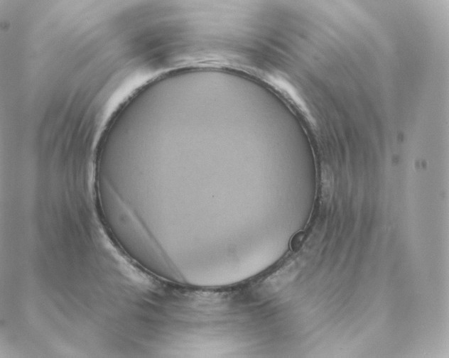 X0000088211424200706051245