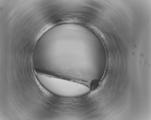 X0000088211425200706051245