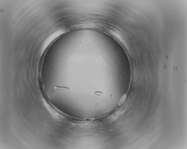 X0000088211426200706051245