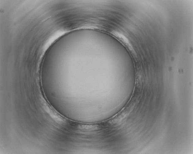 X0000088211427200706051246