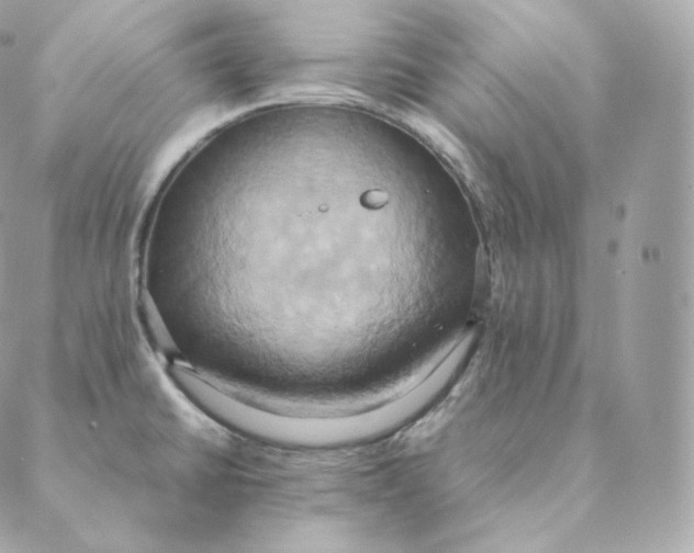 X0000088211430200706051246