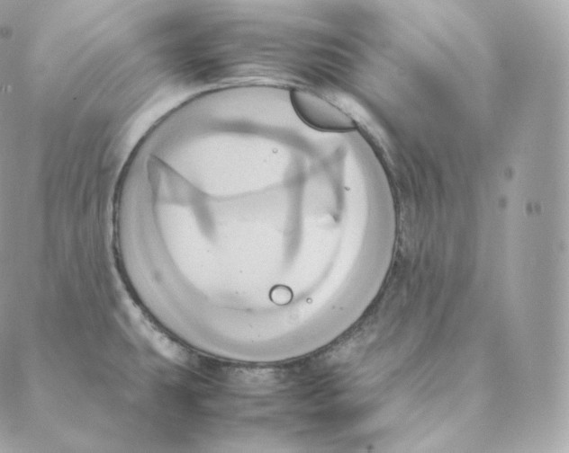 X0000088211431200706051246